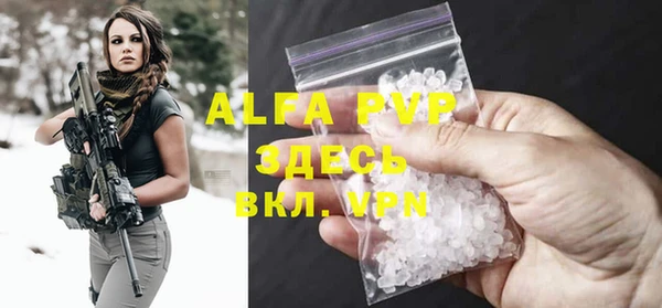 PSILOCYBIN Хадыженск