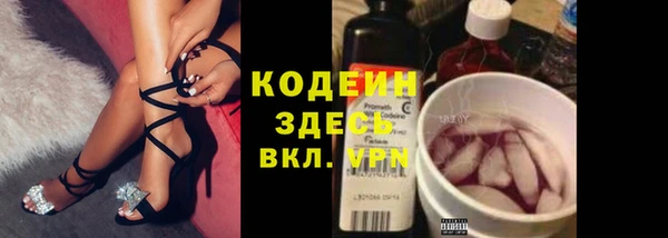 стаф Дмитров