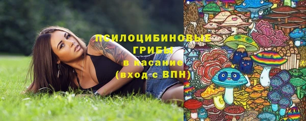 кокаин Дмитриев