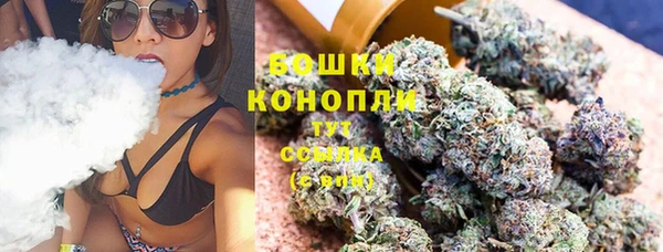 стаф Дмитров