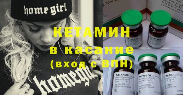 стаф Дмитров