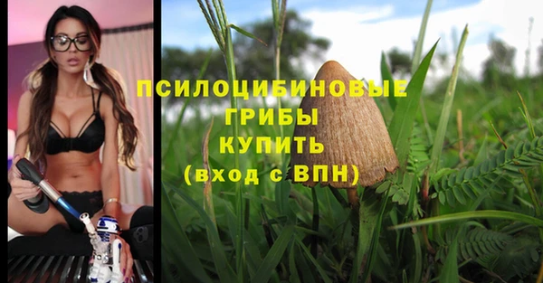 кокс Елабуга