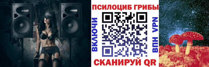 Купить  Куйбышев  Псилоцибиновые грибы Psilocybe 